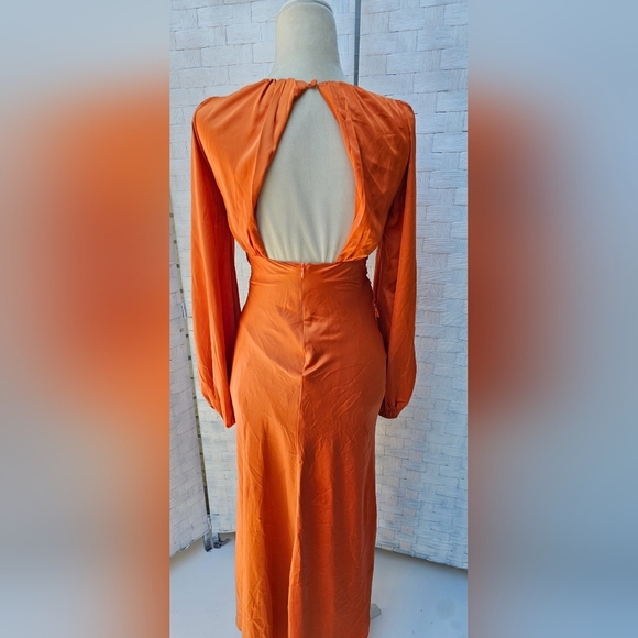 PETAL AND PUP MIDI DRESS - Picture 8 of 12